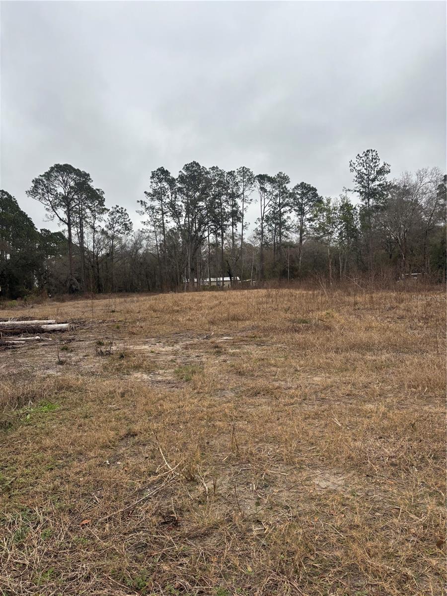 FLAGLER ESTATES - Land