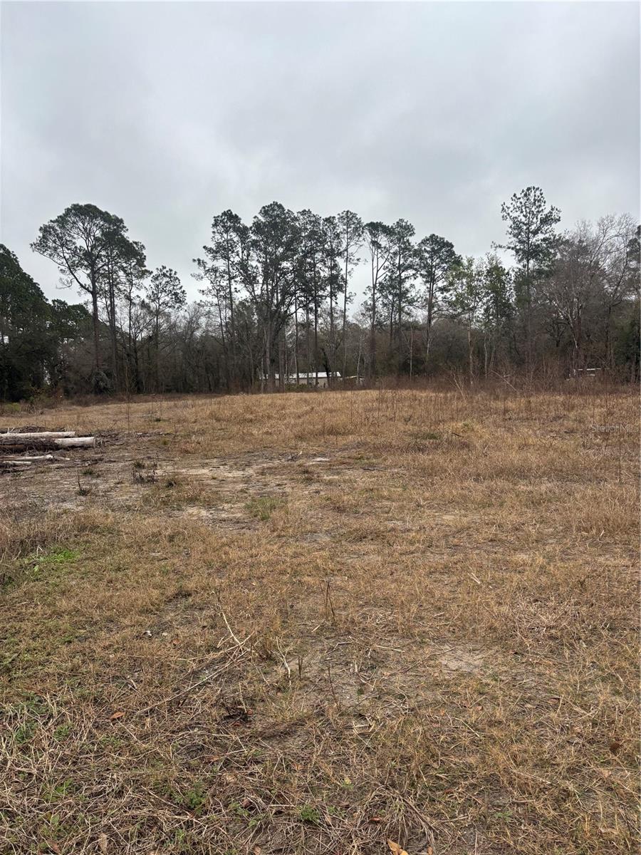 FLAGLER ESTATES - Land