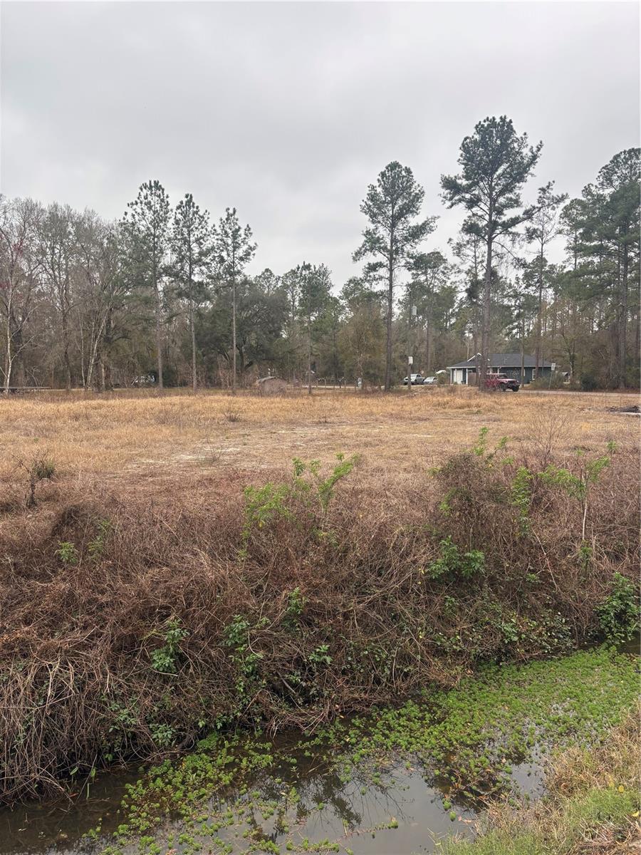 FLAGLER ESTATES - Land