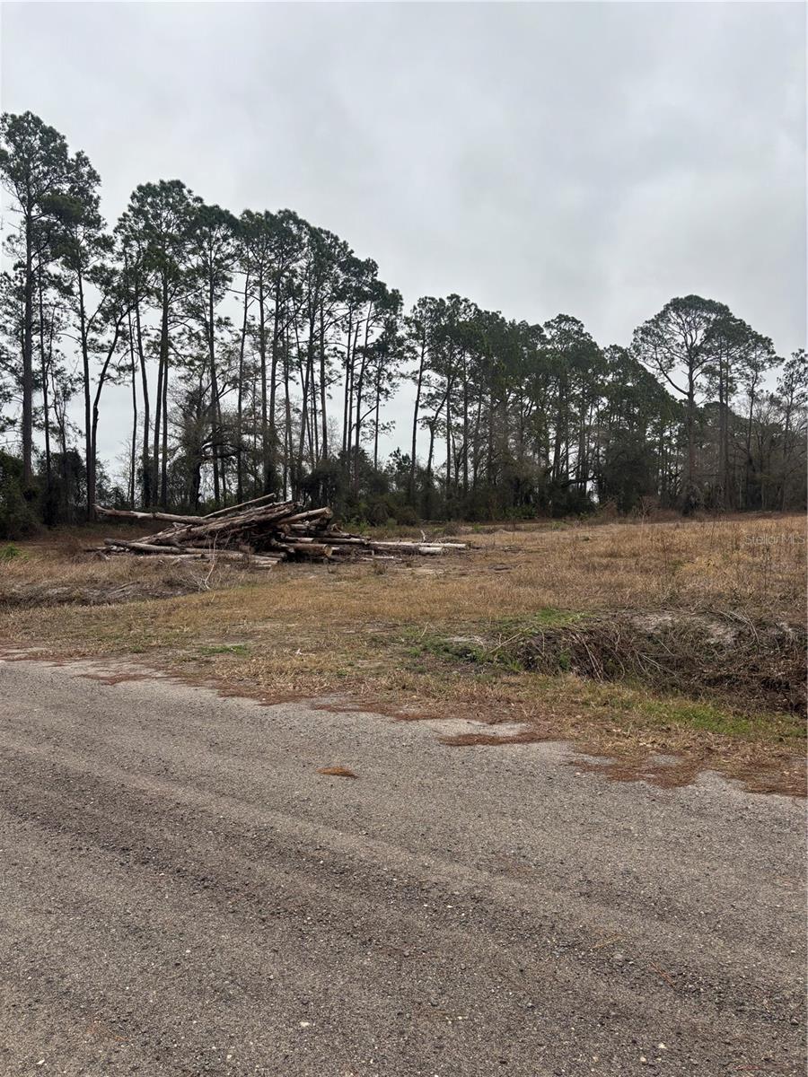 FLAGLER ESTATES - Land