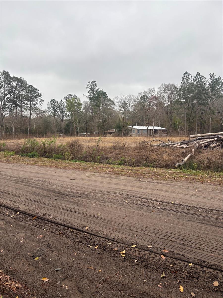 FLAGLER ESTATES - Land