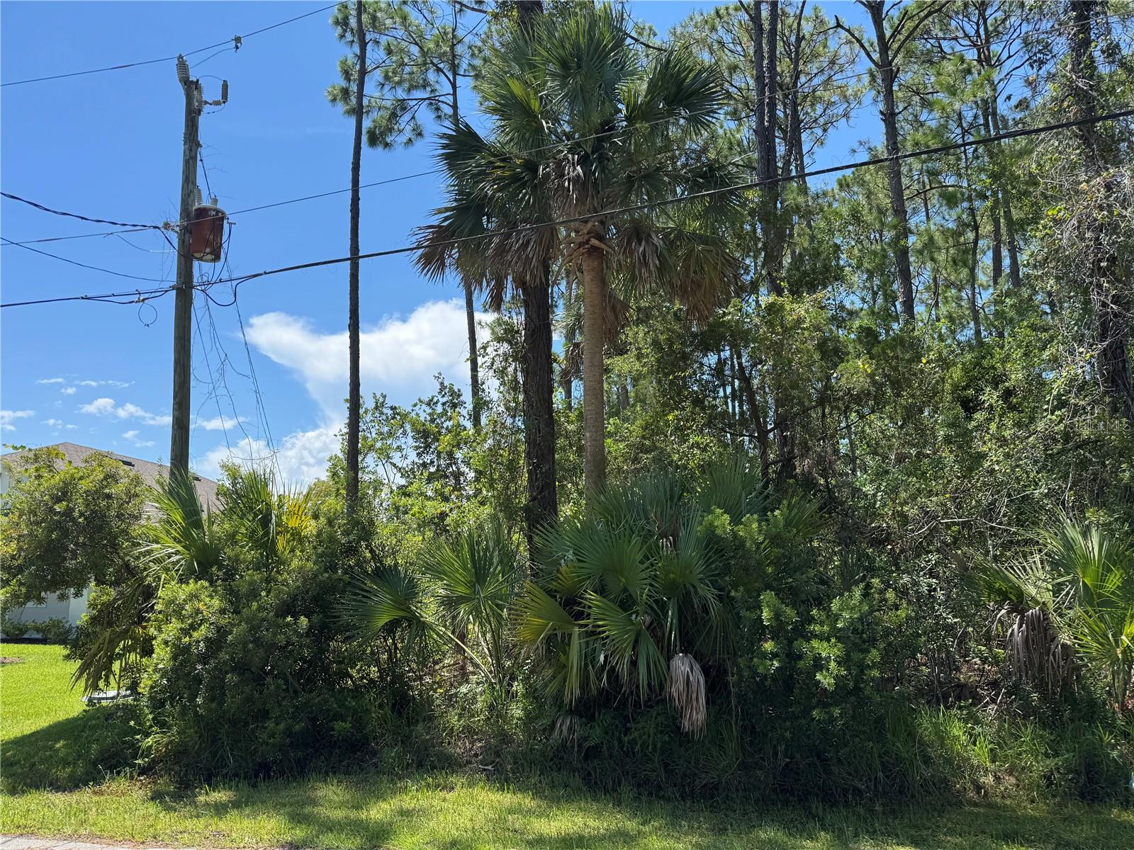 Build your dream home on this .28-acre lot in Pine Grove subdivision of Palm Coast, FL! This oversized 11,979 sq ft property offers no HOA and no time restrictions to build, giving you the flexibility to create the home you’ve always wanted. Located on a quiet street yet just minutes from schools, shopping, dining, and medical facilities, plus easy access to I-95 for a quick drive to St. Augustine, Daytona Beach, and beautiful Flagler beaches. Public water and sewer available. High and dry, with ample space for your future home, pool, and outdoor living area. Whether you’re ready to build now or invest for the future, this Pine Grove homesite is an excellent choice.