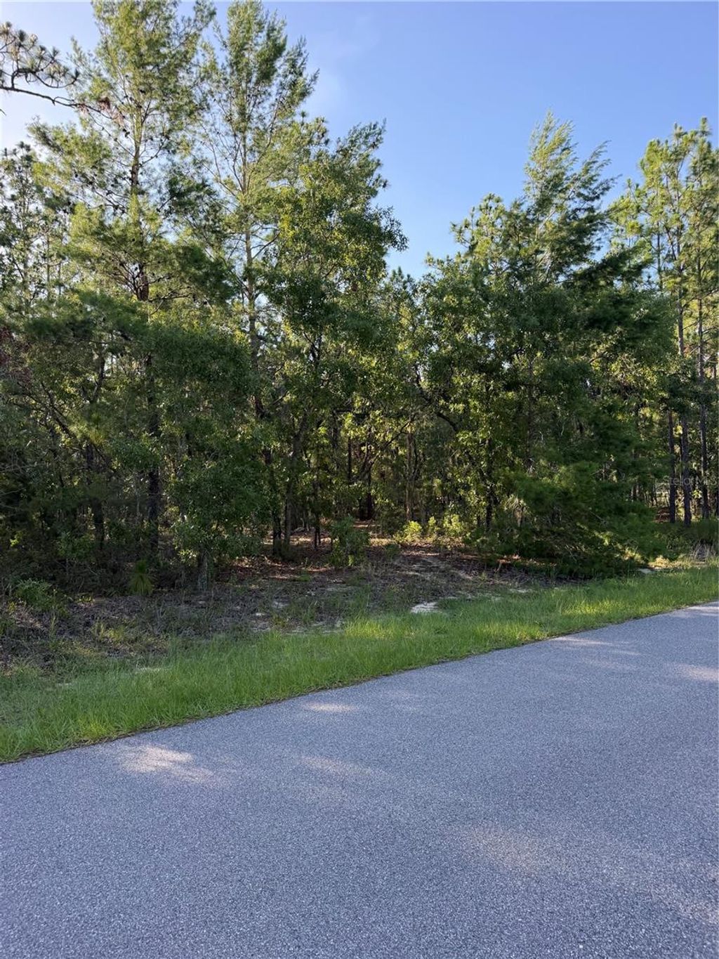 Photo of 2005 Cr 243e, Wildwood, FL 34785 (MLS # OM727256)