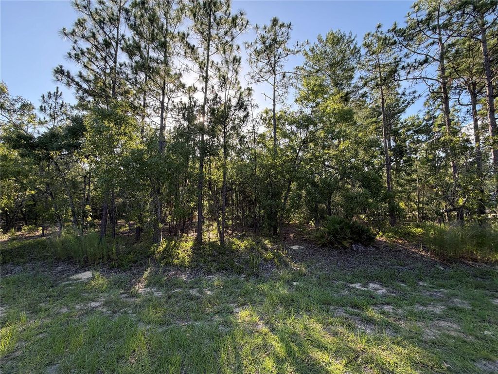 Photo of 2005 Cr 243e, Wildwood, FL 34785 (MLS # OM727256)