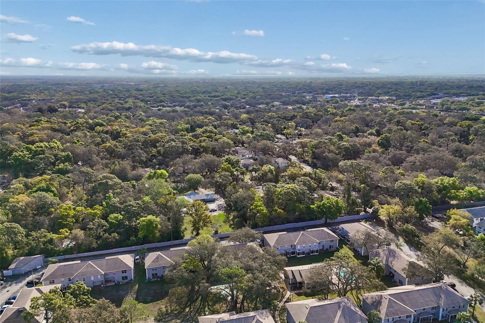 SUNRIDGE OF TAMPA BAY A CONDO - Residential Lease