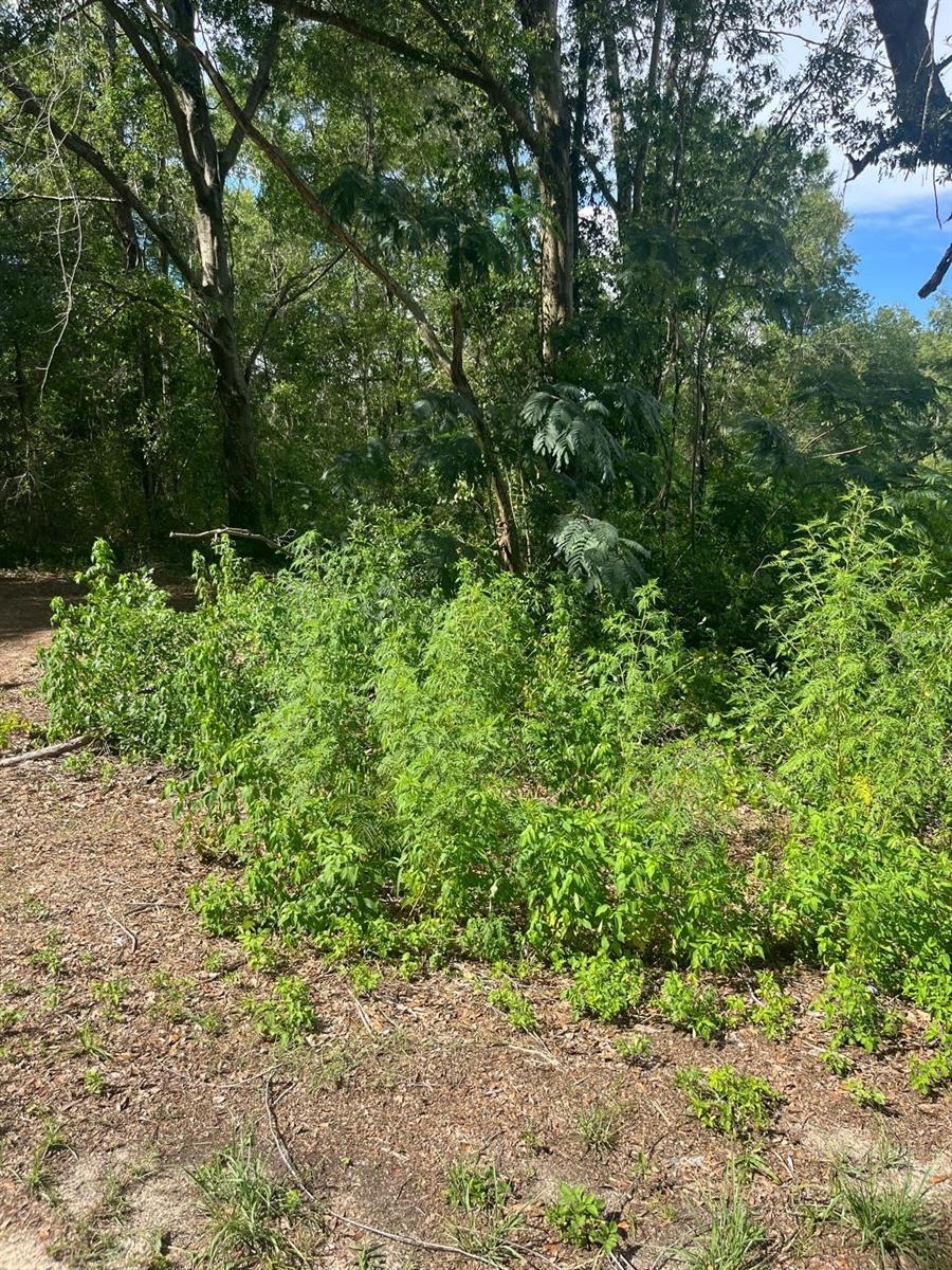 Residential lot located in an urbanized area with roads and nearby utilities. Ideal for building a primary residence in a well-established community. Convenient location with easy access to schools, shopping, and major roads.