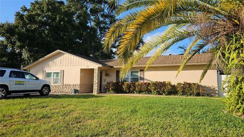 1099 KINGSWOOD WAY PORT ORANGE FL 32129
