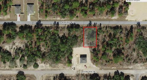 6787 N PAVILION LOOP CITRUS SPRINGS FL 34433