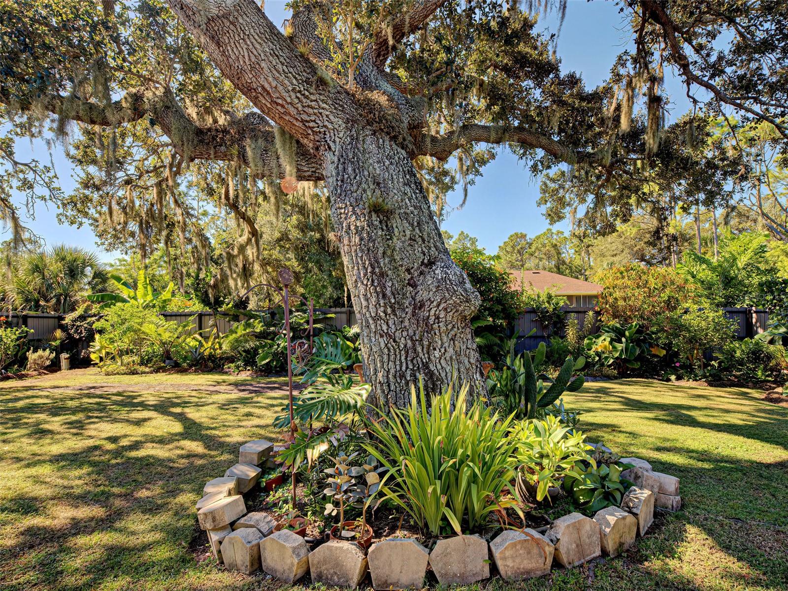 PORT CHARLOTTE SUB 01 - Residential