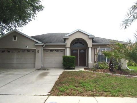 23113 EMERSON WAY LAND O LAKES FL 34639