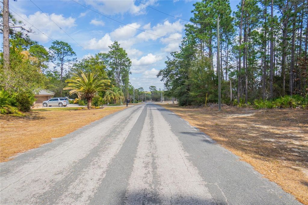 Photo of 5100 N Red Ribbon Point, Beverly Hills, FL 34465 (MLS # OM719524)