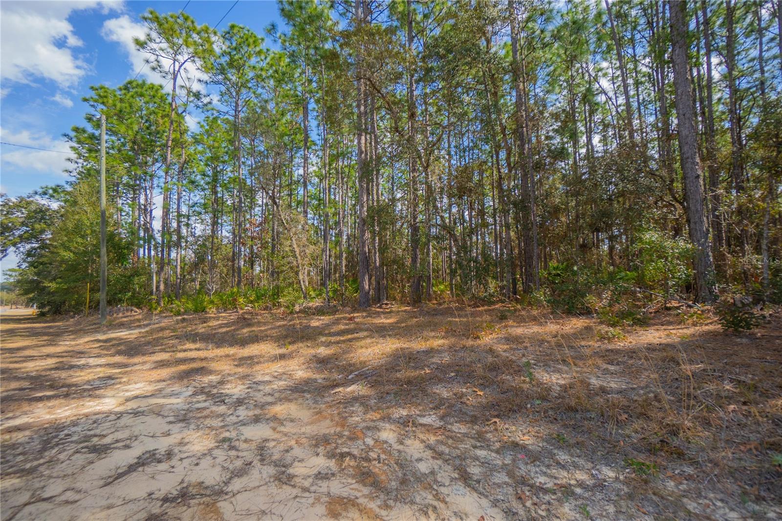 5100 N RED RIBBON POINT