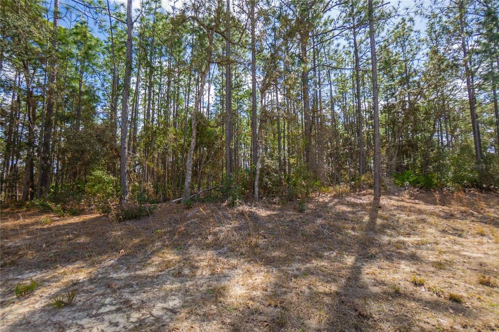 Photo of 5100 N Red Ribbon Point, Beverly Hills, FL 34465 (MLS # OM719524)