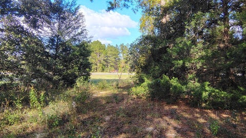 Tiny photo for 0000 NE Hwy 27 Alt, Williston, FL 32696 (MLS # OM734653)