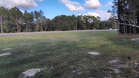 Tiny photo for 0000 NE Hwy 27 Alt, Williston, FL 32696 (MLS # OM734653)