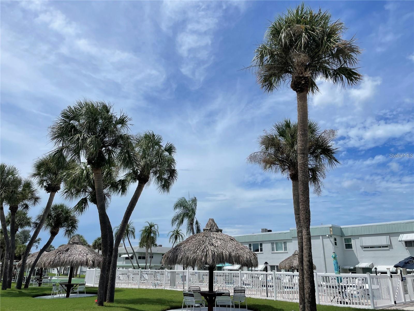 PARADISE SHORES - Residential