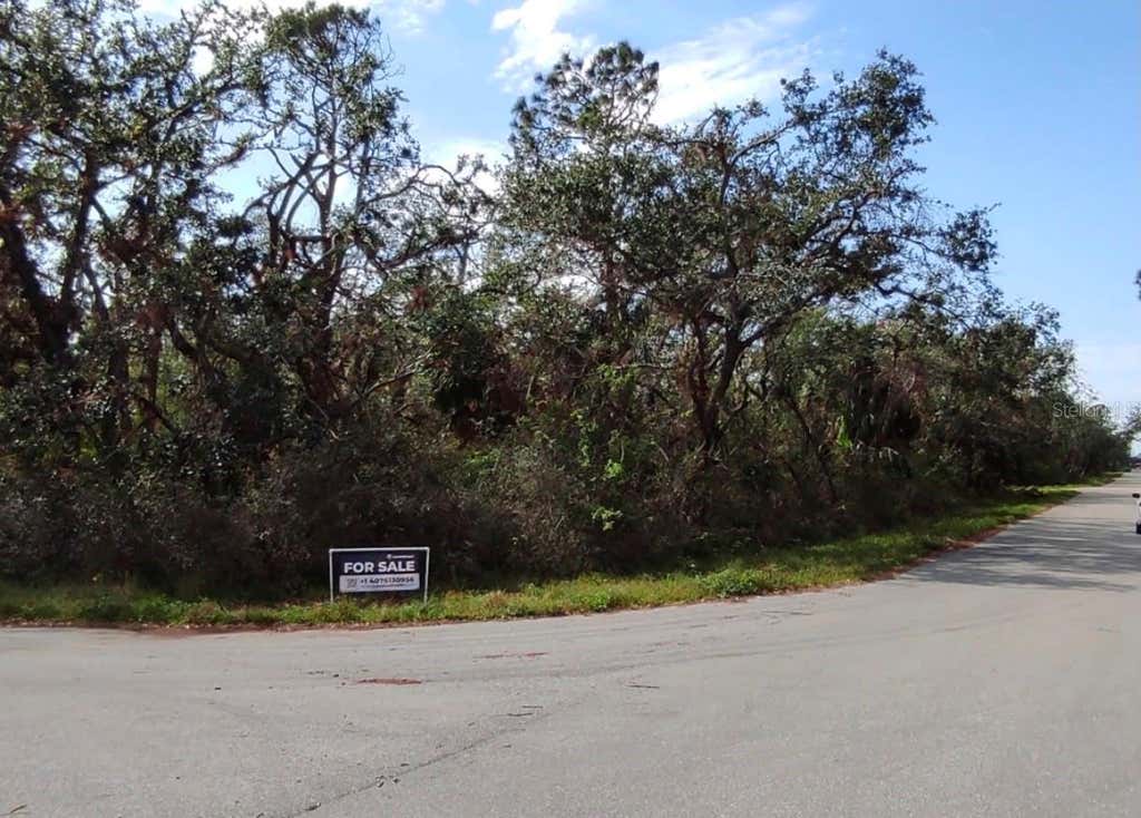 Photo of 13381 Doubleday Avenue, Port Charlotte, FL 33953 (MLS # A4702451)