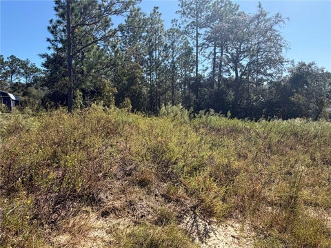 Tiny photo for 42 SW Azalea Court, Dunnellon, FL 34431 (MLS # OM734517)