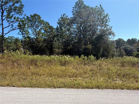 Tiny photo for 42 SW Azalea Court, Dunnellon, FL 34431 (MLS # OM734517)