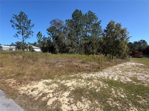 Photo of 42 SW Azalea Court, Dunnellon, FL 34431 (MLS # OM734517)