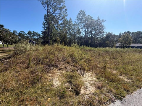 Tiny photo for 42 SW Azalea Court, Dunnellon, FL 34431 (MLS # OM734517)