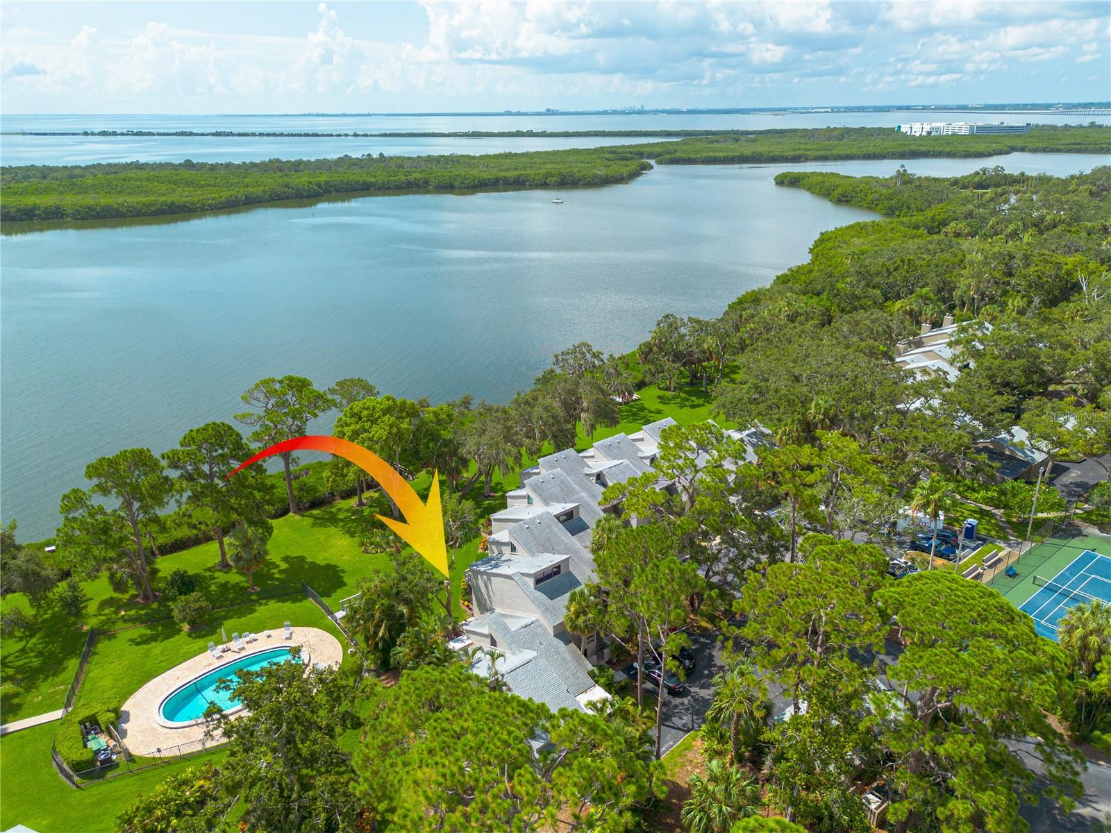 Wake up to shimmering bay views in this impeccably renovated 2-bedroom, 2-bath condo, superbly positioned on the water’s edge. Inside, easy-care tile flooring runs throughout an open-concept living area that showcases an updated kitchen with granite countertops, custom wood cabinetry, and stainless-steel appliances. The serene primary suite offers a hurricane-rated sliding door that frames the water, while both bathrooms have been updated with timeless finishes. A brand-new HVAC system (2025) ensures comfort and efficiency year-round. Beyond your front door, the lifestyle is unbeatable. A community observation pier—recently rebuilt with low-maintenance composite decking—invites you to fish, watch dolphins, or simply relax. Check out Old Tampa Bay via a kayak just steps from the condo, and a sparkling pool and tennis/pickleball courts keep recreation close to home. Stroll to Cooper’s Bayou Park or the newly redesigned Del Oro Park, offering additional pickleball courts, a playground, and basketball courts. Cyclists and runners will love easy access to the Ream Wilson Trail, linking you to Safety Harbor and Tampa via the scenic Courtney Campbell Causeway. Hop on your golf cart for a quick ride to downtown Safety Harbor, where Main Street dining, boutique shopping, breweries, live music, and year-round festivals—including the Third Friday Street Festival and Sunday Farmers Market—await. The Safety Harbor Marina and world-renowned Safety Harbor Resort & Spa are minutes away.