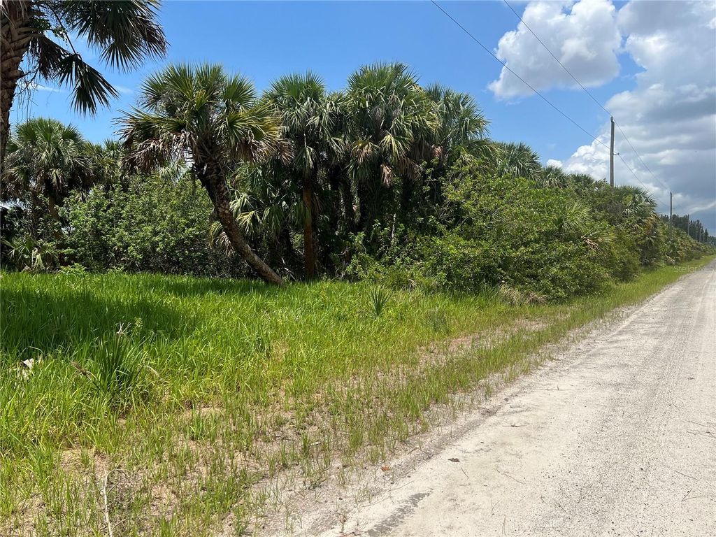 Photo of 3026 Sage Avenue SW, Palm Bay, FL 32908 (MLS # G5090441)