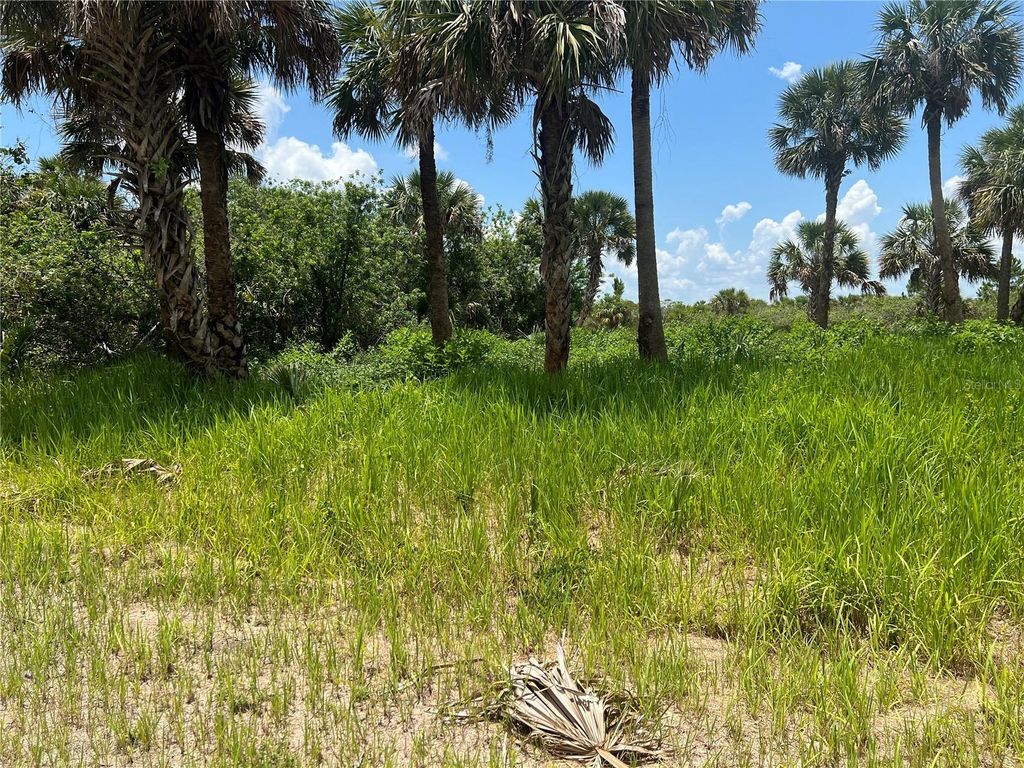 Photo of 3026 Sage Avenue SW, Palm Bay, FL 32908 (MLS # G5090441)