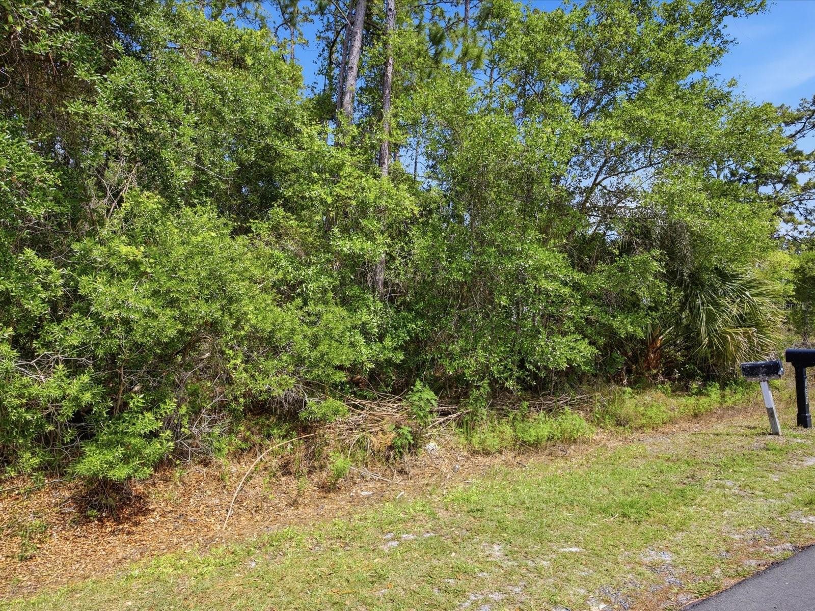 DAYTONA PARK ESTATES SEC A - Land