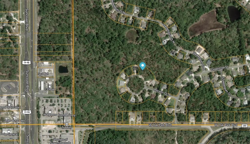 Photo of 12 Pitcairn Court, Homosassa, FL 34446 (MLS # GC537122)