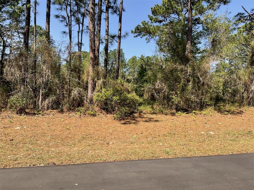 Build your dream home on this desirable vacant lot in the growing community of Marion Oaks! This residential parcel offers a great opportunity for builders, investors, or future homeowners looking for space and privacy while still being conveniently located near shopping, dining, schools, and major roadways. The lot is situated in a developing neighborhood with many newly built homes nearby and no HOA. Enjoy the peaceful surroundings while remaining just a short drive to downtown Ocala and other local amenities. Whether you're planning to build now or hold as an investment, this property offers excellent potential in one of Marion County’s expanding residential areas.
