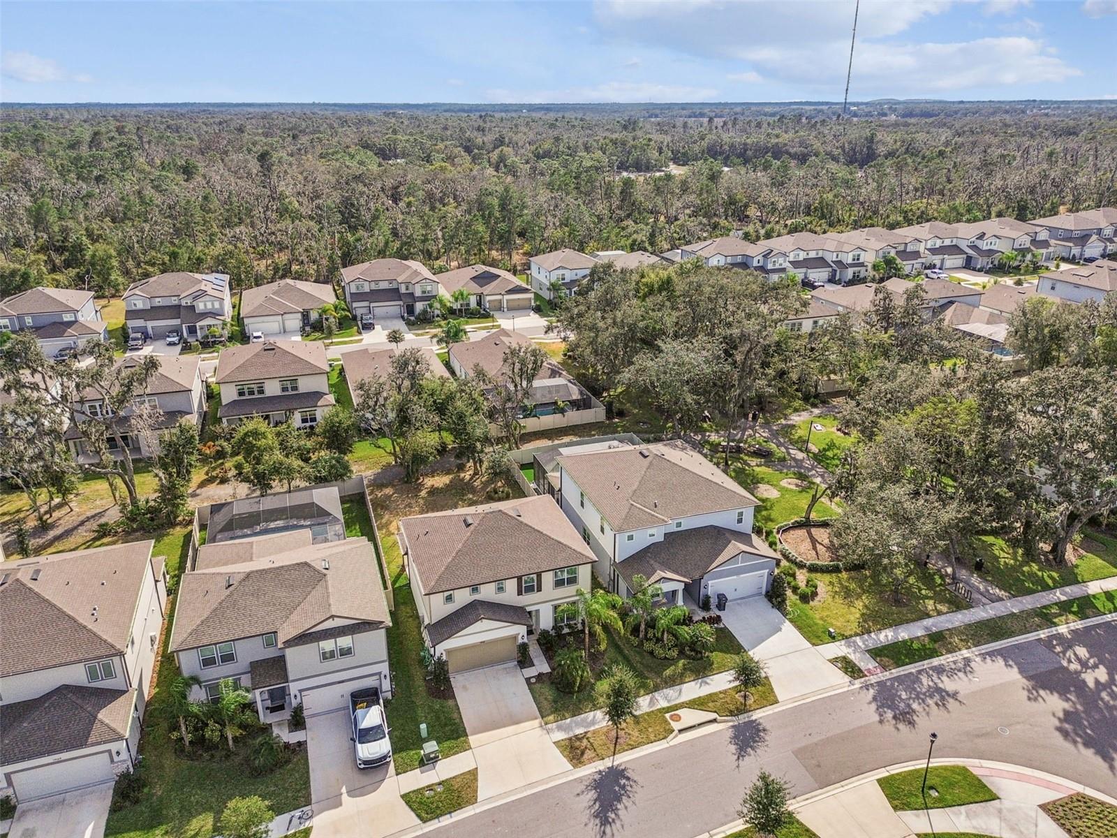 HAMMOCK CREST - Residential