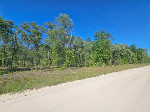 13371 NE 9TH STREET WILLISTON FL 32696