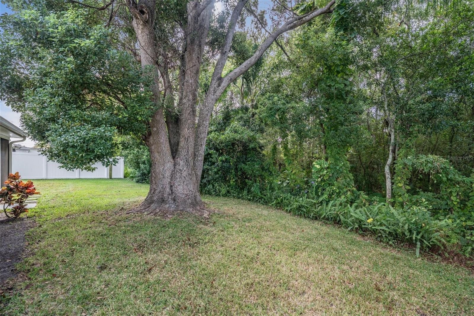 MAGNOLIA VALLEY - Residential