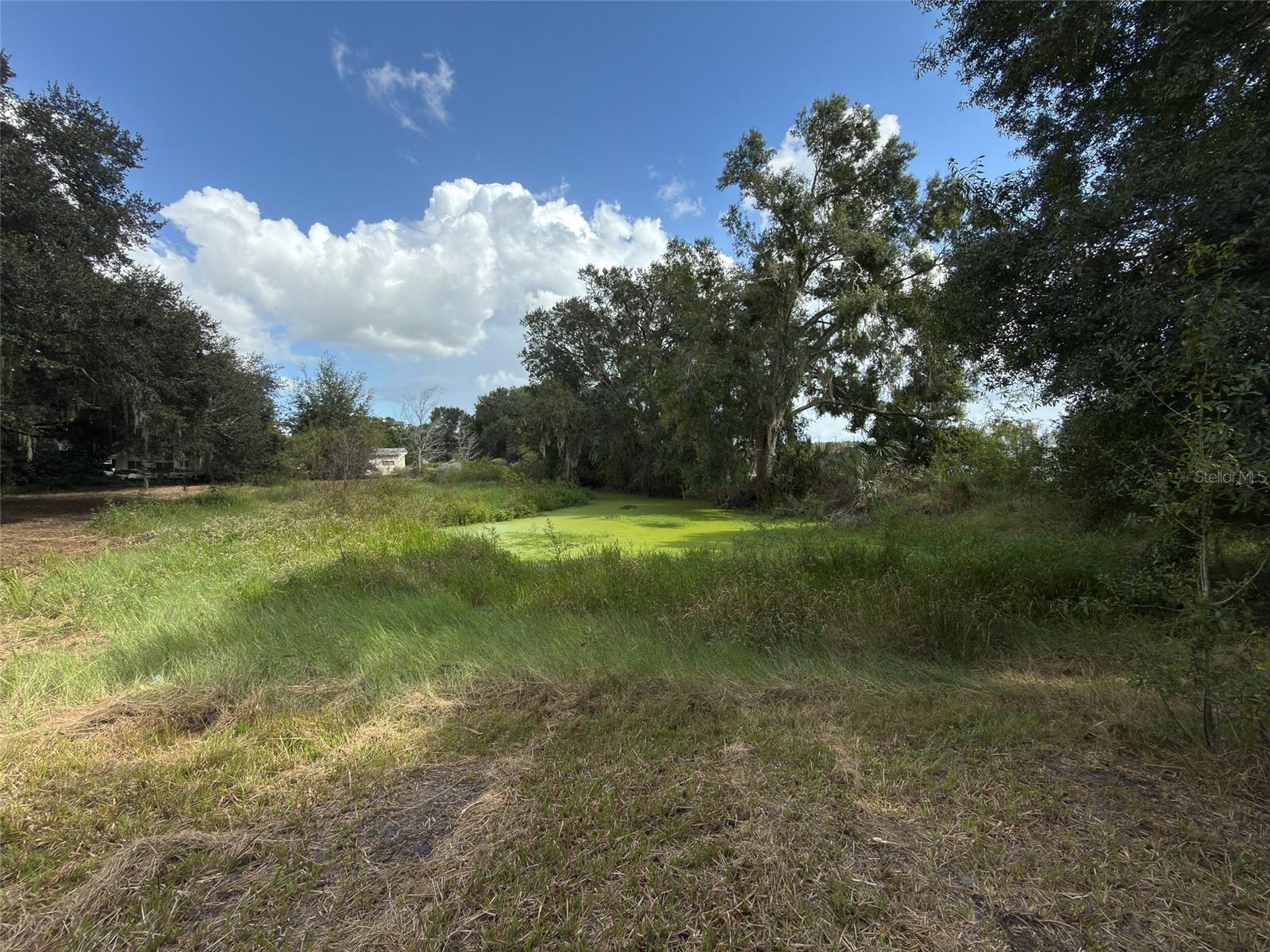 ZEPHYRHILLS COLONY CO - Land