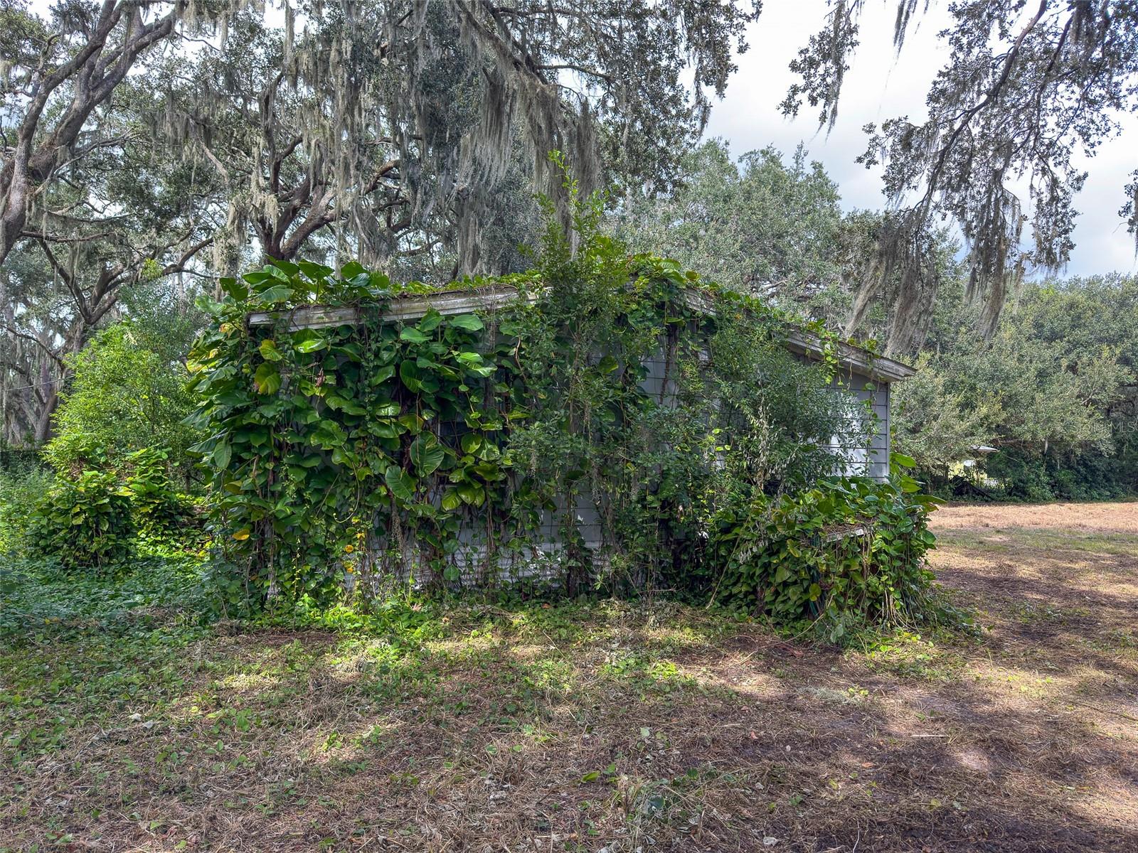 ZEPHYRHILLS COLONY CO - Land