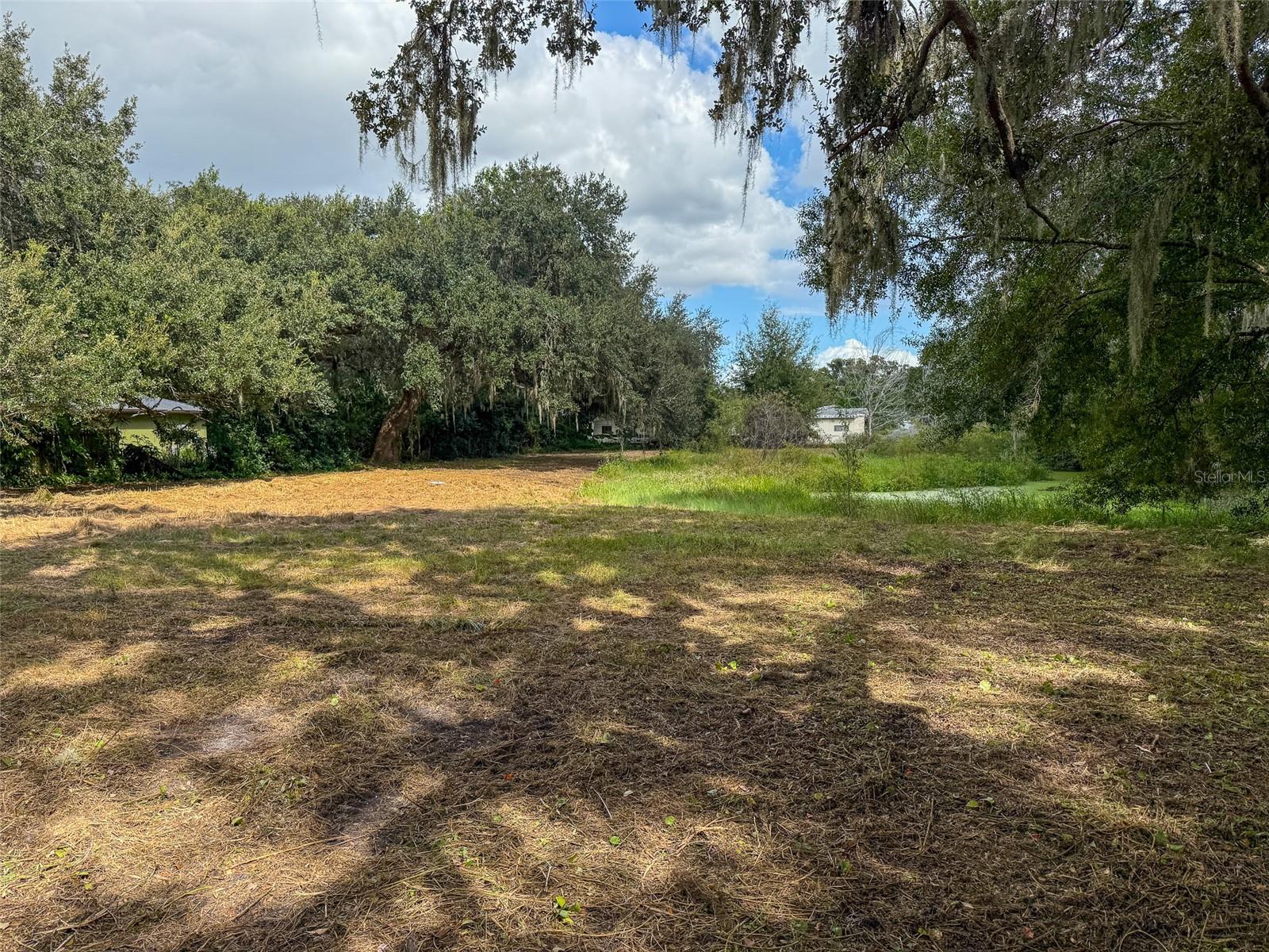 ZEPHYRHILLS COLONY CO - Land