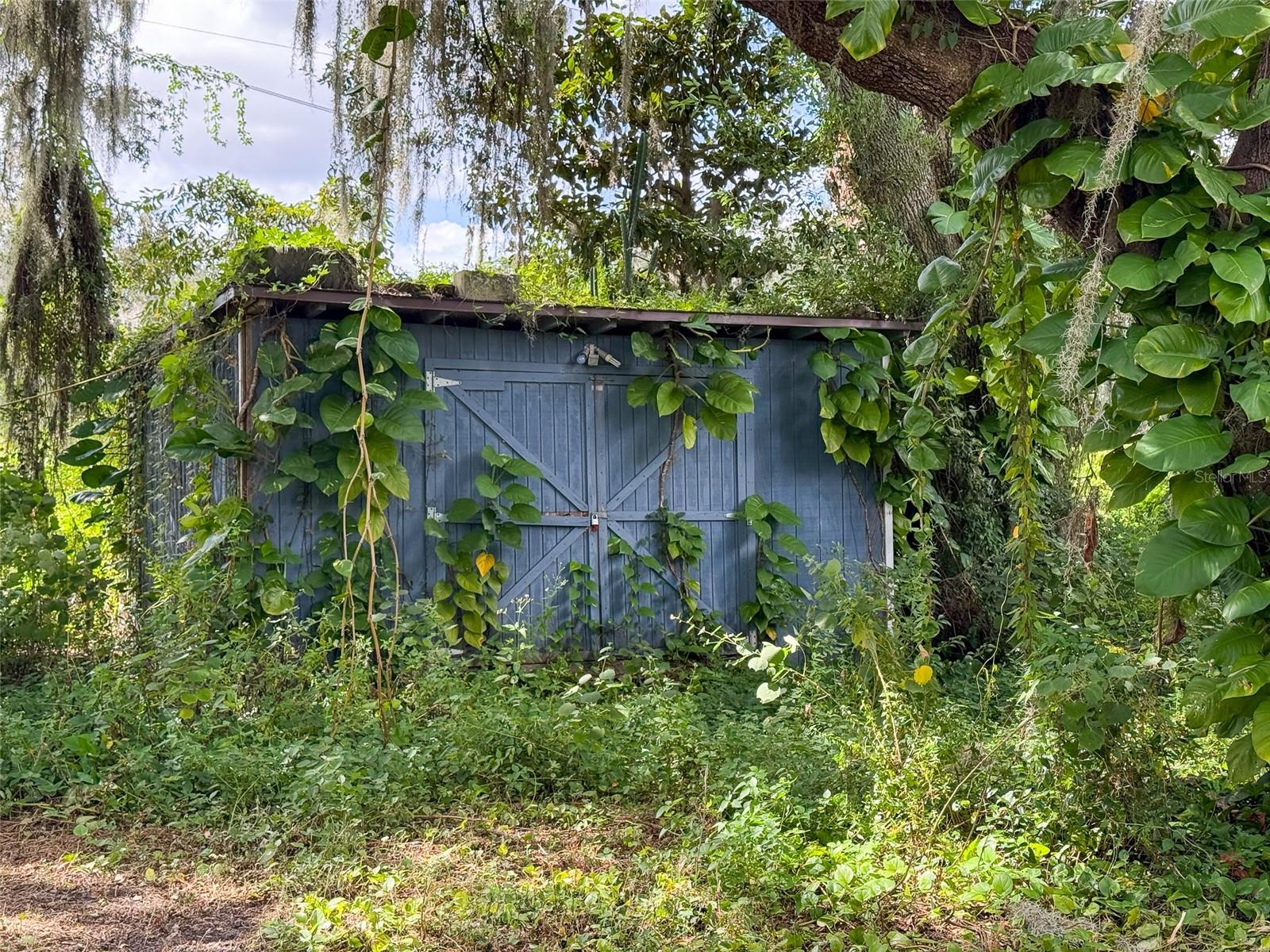 ZEPHYRHILLS COLONY CO - Land