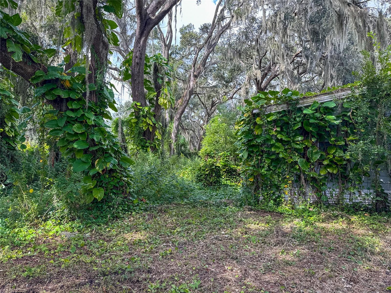 ZEPHYRHILLS COLONY CO - Land