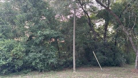 Photo of SE 11th Street, Silver Springs, FL 34488 (MLS # O6421397)