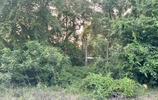 Photo of SE 11th Street, Silver Springs, FL 34488 (MLS # O6421397)
