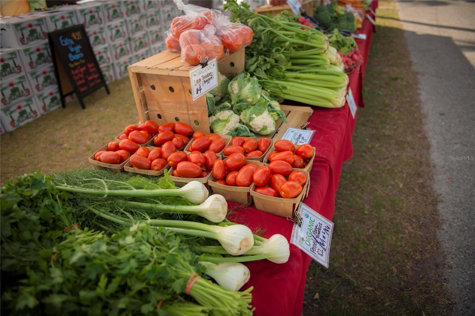 HARMONY AT LAKEWOOD RANCH PH II-C 1-4 - Residential