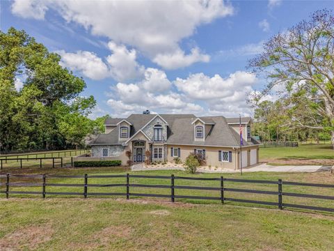 Photo of 32640 Blueberry Hill Way, Dade City, FL 33523 (MLS # TB8492670)