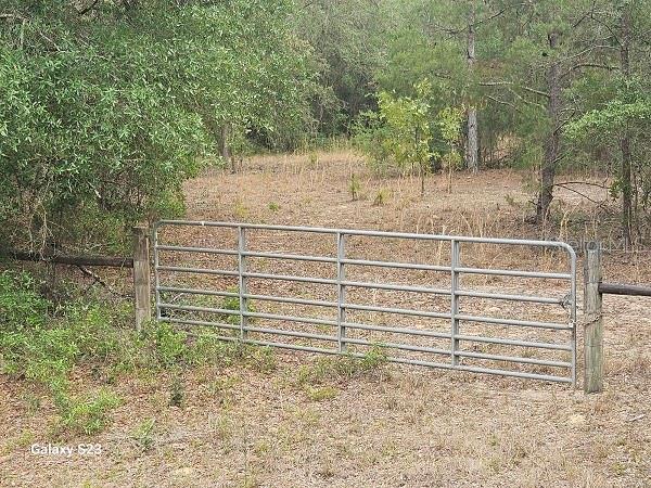1650 E WITHLACOOCHEE TRAIL