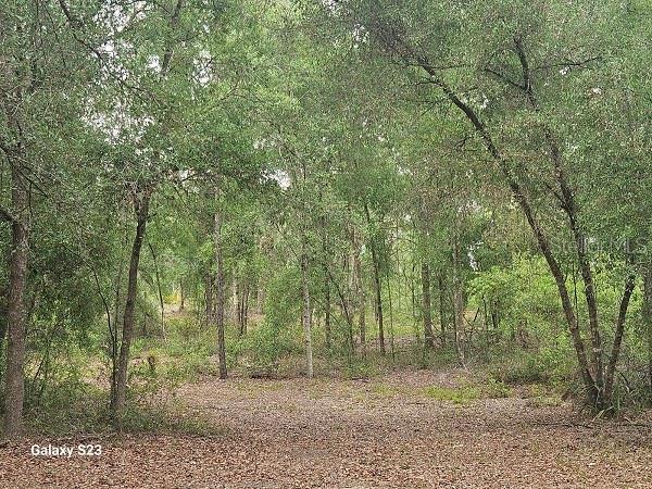 1650 E WITHLACOOCHEE TRAIL