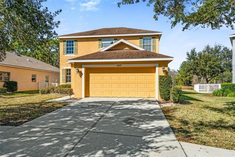 20117 BAY CEDAR AVENUE TAMPA FL 33647