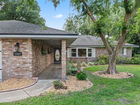 Tiny photo for 33005 Joel Court, Leesburg, FL 34788 (MLS # G5111944)