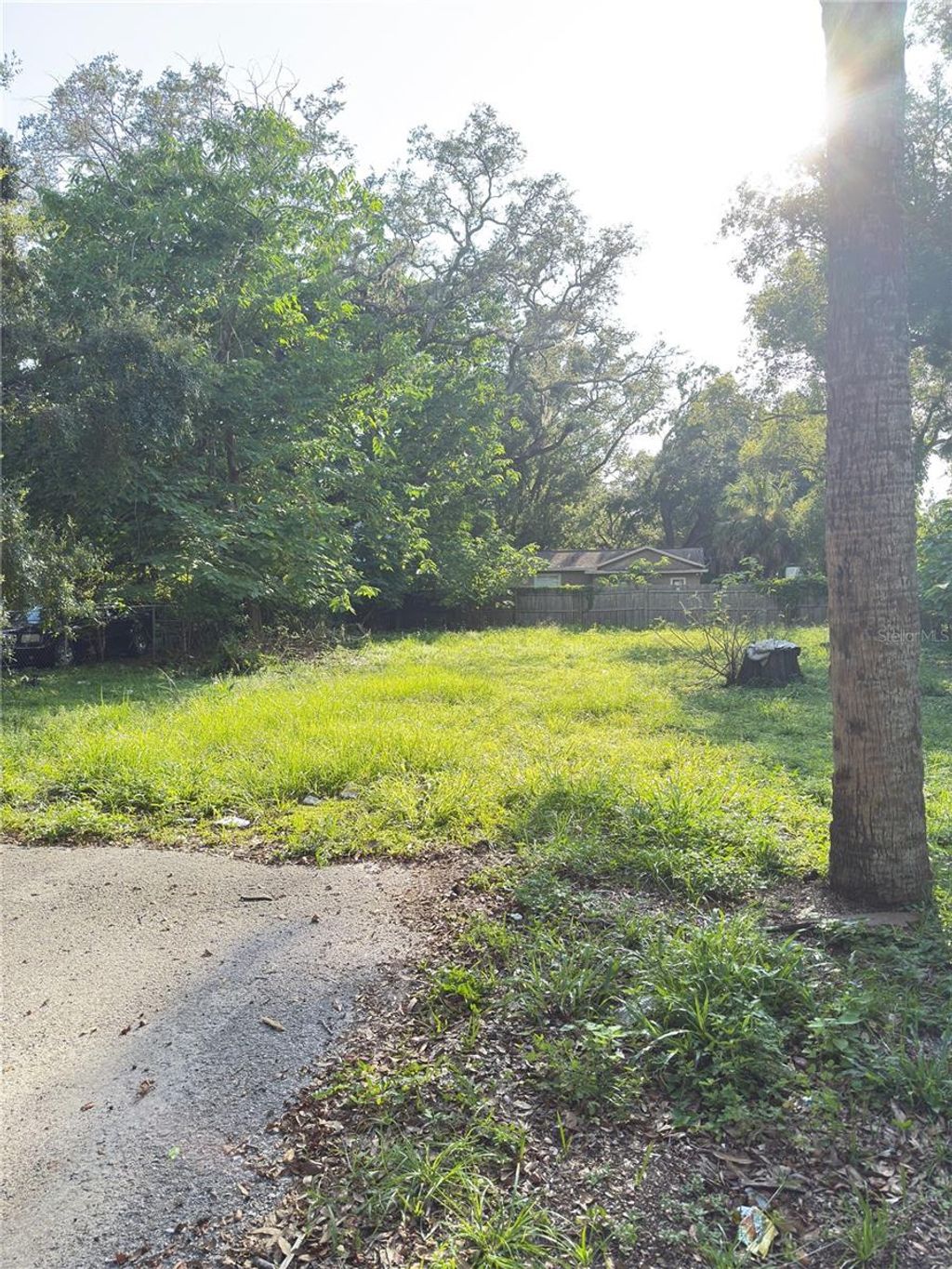 Photo of 10122 N 11th Street, Tampa, FL 33612 (MLS # TB8413623)