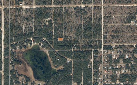 TBD FLAMINGO DRIVE INTERLACHEN FL 32148