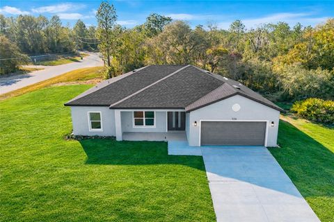 Photo of 10516 Caldera Ave Ave N, Citrus Springs, FL 34433 (MLS # O6381243)